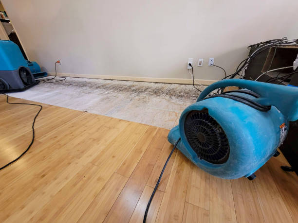 Professional Water Removal technician working in Washburn, WI